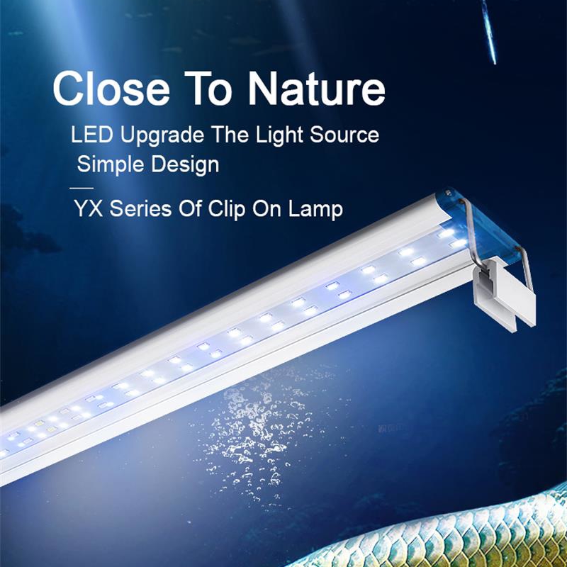 Aquarium Plant Display - 물고기 탱크 슈퍼 슬림 LED 수족관
