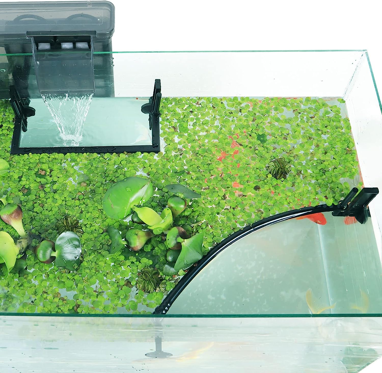 Planted Aquarium Heater - 수족관 부동 식물 마구간, 필터 및