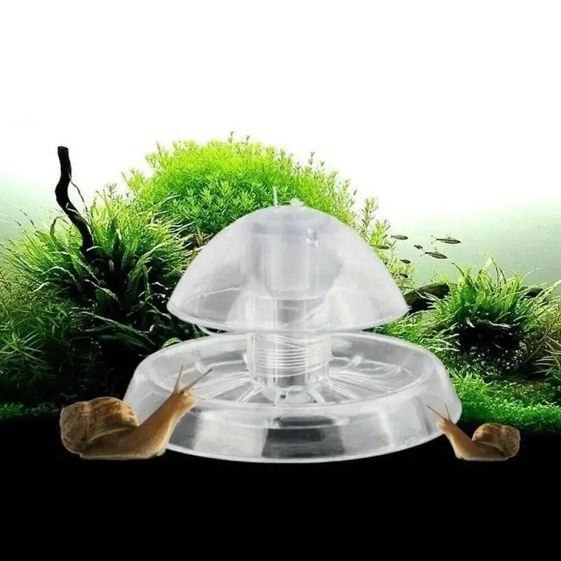 Planted Aquarium Supplies - 2026년형 새로운 6/8CM 투명 플라스틱 달팽이