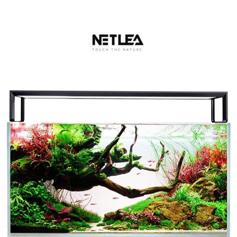 Aquarium Plant Display - 넷리아 AT5S V3 스마트 와이파이 앱