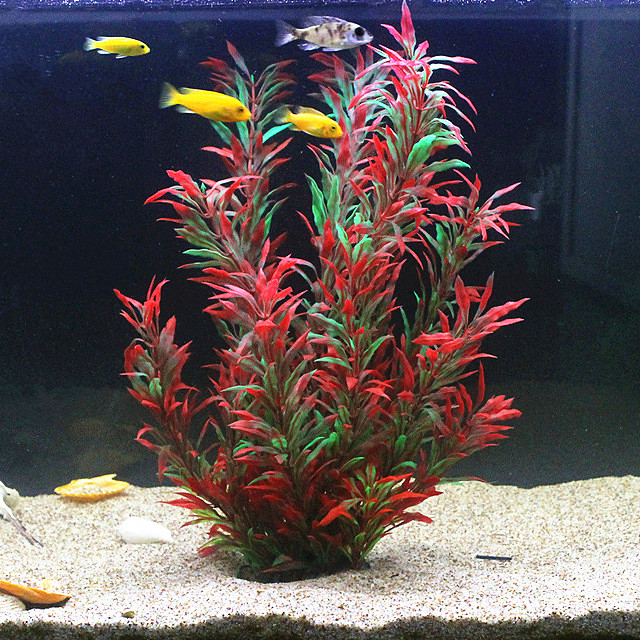 Planted Aquarium Supplies - 50CM 인조 어항 희귀 식물 수족관