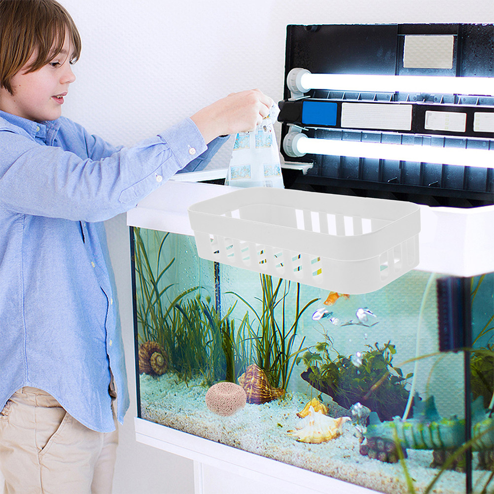 Aquarium Planted Tank Setup - 2개입 수족관 식물 홀더, 물고기 탱크