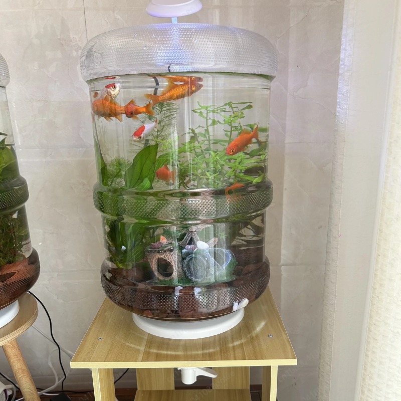 Aquarium Planted Tank Setup - 즉시 설치 가능한 가정용 어항 30x30cm