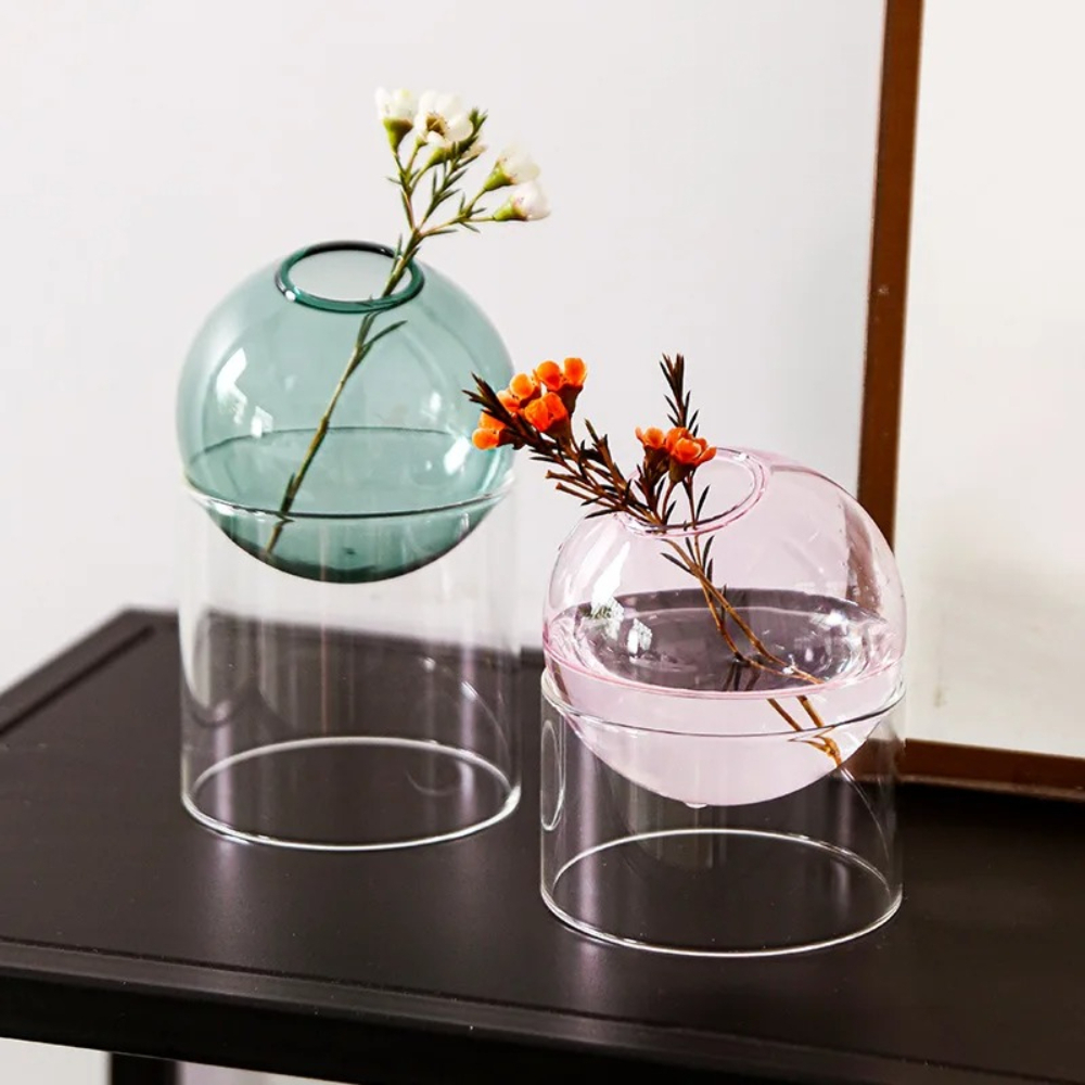 북유럽 스타일 컬러 유리 화병, 원형 투명 유리 수경  - Tissue Culture Plant 리뷰 및 가격