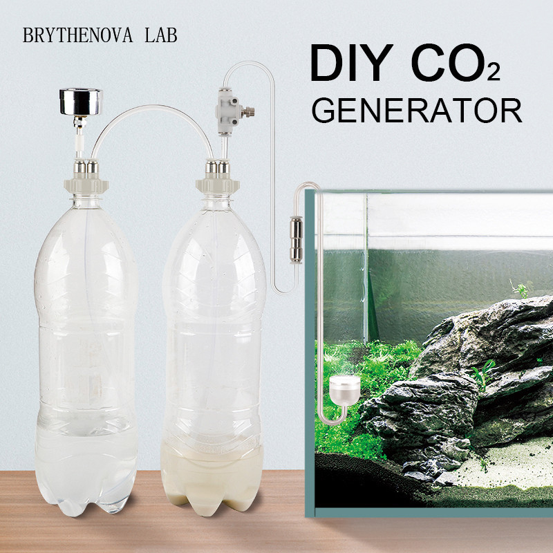CO2 발생기 수족관 수초 어항 CO2 시스템 키트 발 - Planted Aquarium Co2 System 리뷰 및 가격
