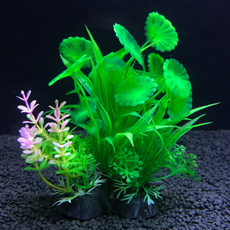 수족관 장식 다양한 시뮬레이션 식물 수생 식물 수생 식 - Aquarium Plant Varieties 리뷰 및 가격
