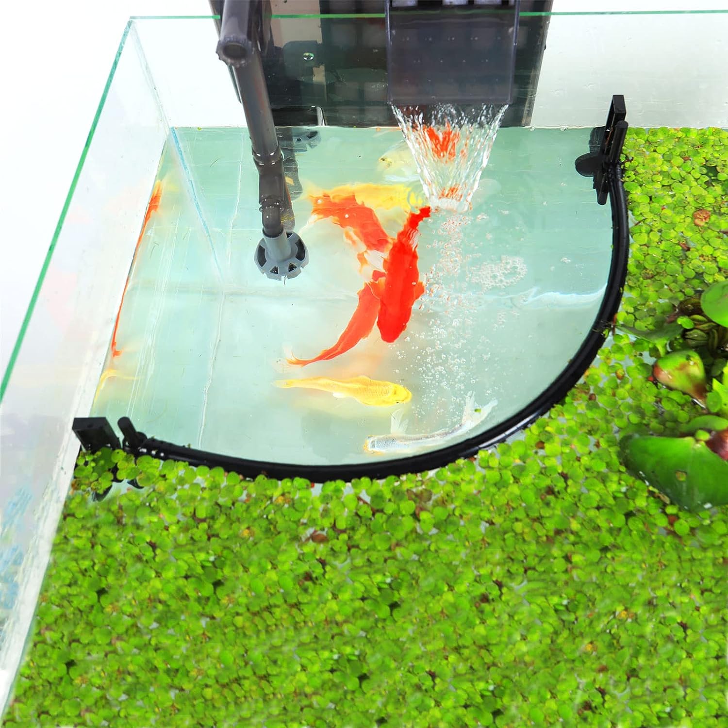 수족관 부동 식물 마구간, 필터 및 히터에서 부동 식물 - Planted Aquarium Heater 리뷰 및 가격