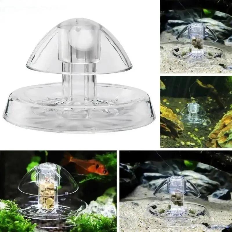 2026년형 새로운 6/8CM 투명 플라스틱 달팽이 트 - Planted Aquarium Supplies 리뷰 및 가격