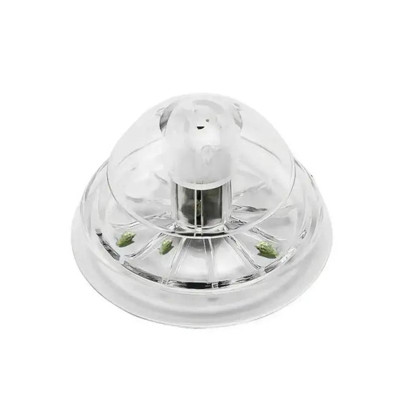 2026년형 새로운 6/8CM 투명 플라스틱 달팽이 트 - Planted Aquarium Supplies 리뷰 및 가격