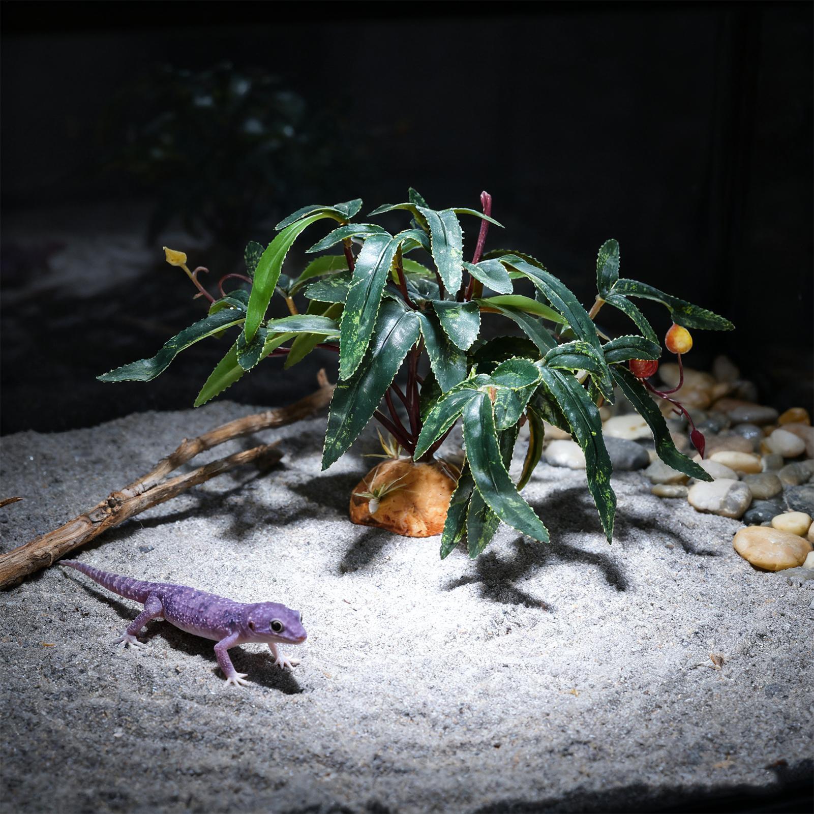 가짜 파충류 식물 뱀 탱크 장식품, 실제같은 수족관 장 - Aquarium For Planted Tank 리뷰 및 가격