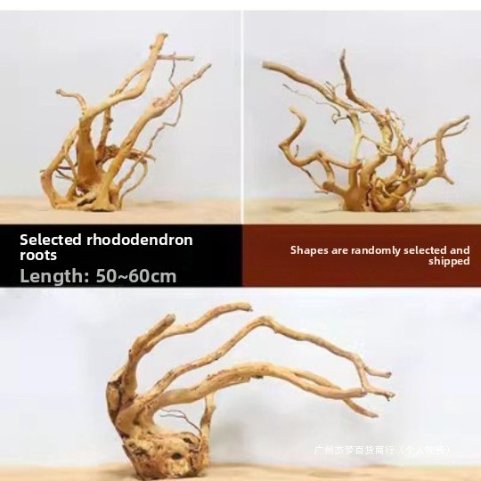 수족관 어항 장식용 자연 유목 가지, 수생 식물 뿌리  - Aquarium For Planted Tank 리뷰 및 가격