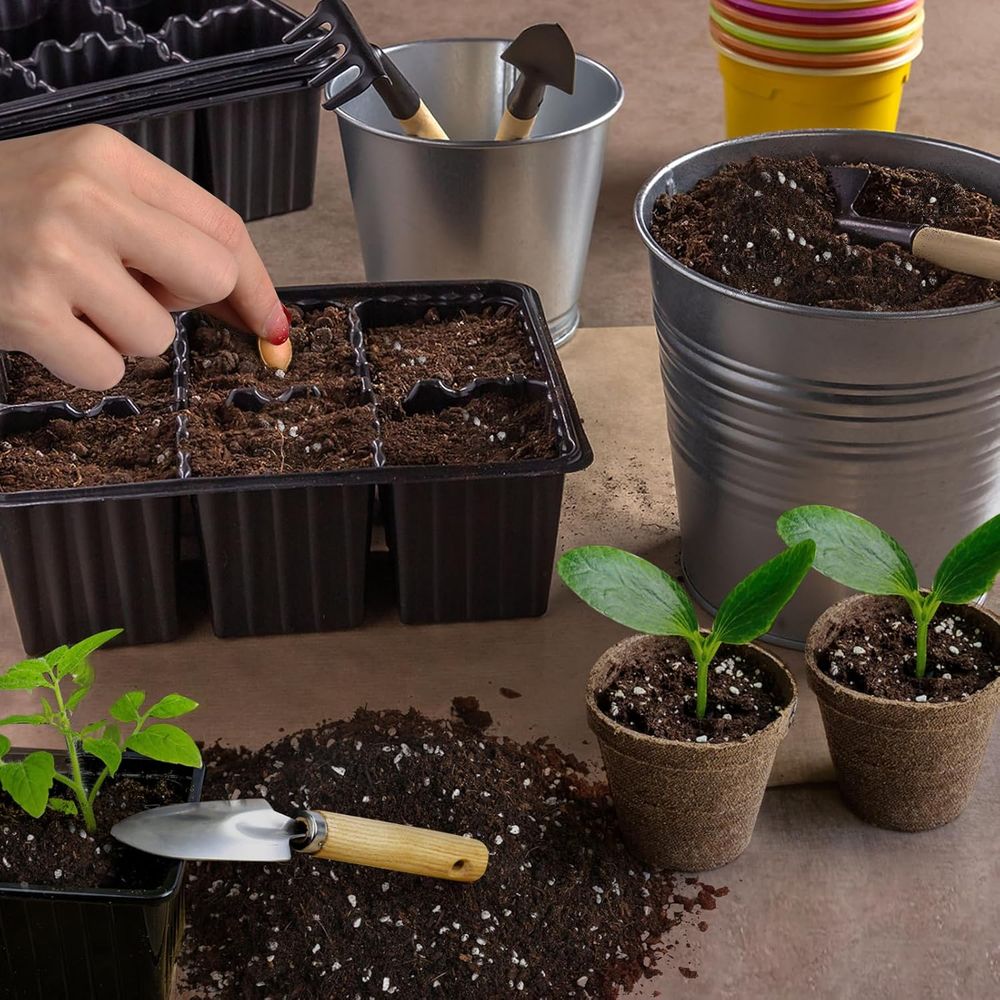 프리미엄 시드 스타터 토양 혼합물 1쿼트, 발아 및 강 - Tissue Culture Plant 리뷰 및 가격