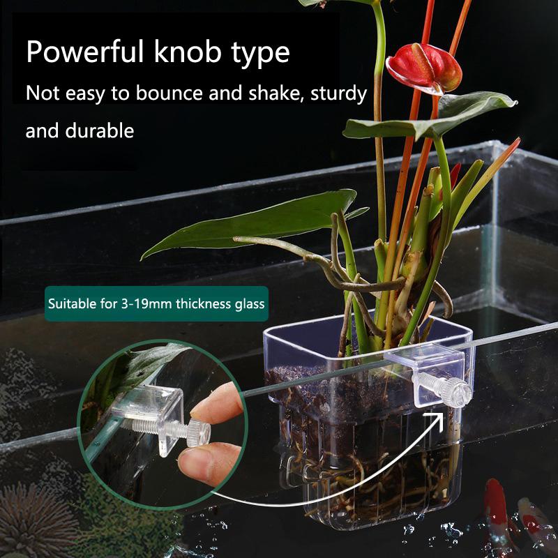 수족관 수경 재배 컵 2 5 10개입 수생 식물 재배용 - Aquarium Planted Tank Setup 리뷰 및 가격