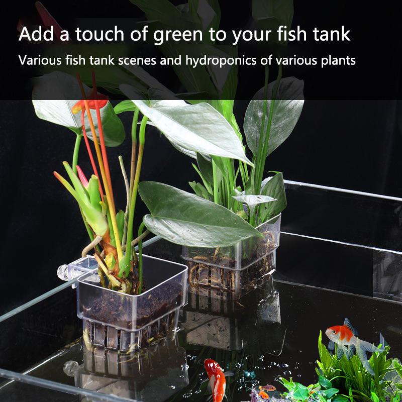 수족관 수경 재배 컵 2 5 10개입 수생 식물 재배용 - Aquarium Planted Tank Setup 리뷰 및 가격
