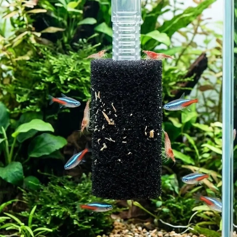 50/5x 프리 필터 스펀지 수족관 어항 입수구 필터  - Aquarium Planted Filter 리뷰 및 가격