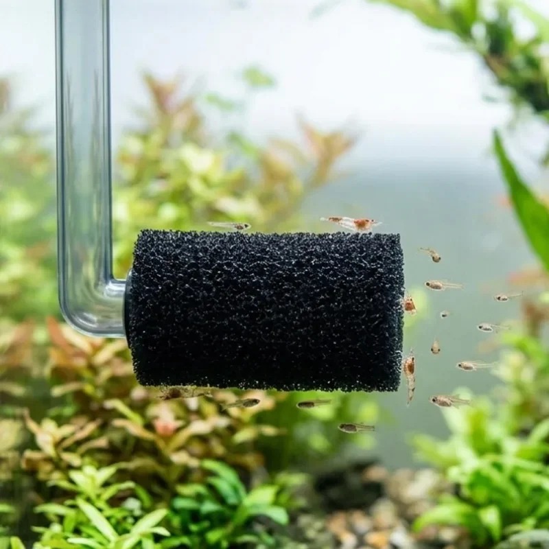 50/5x 프리 필터 스펀지 수족관 어항 입수구 필터  - Aquarium Planted Filter 리뷰 및 가격