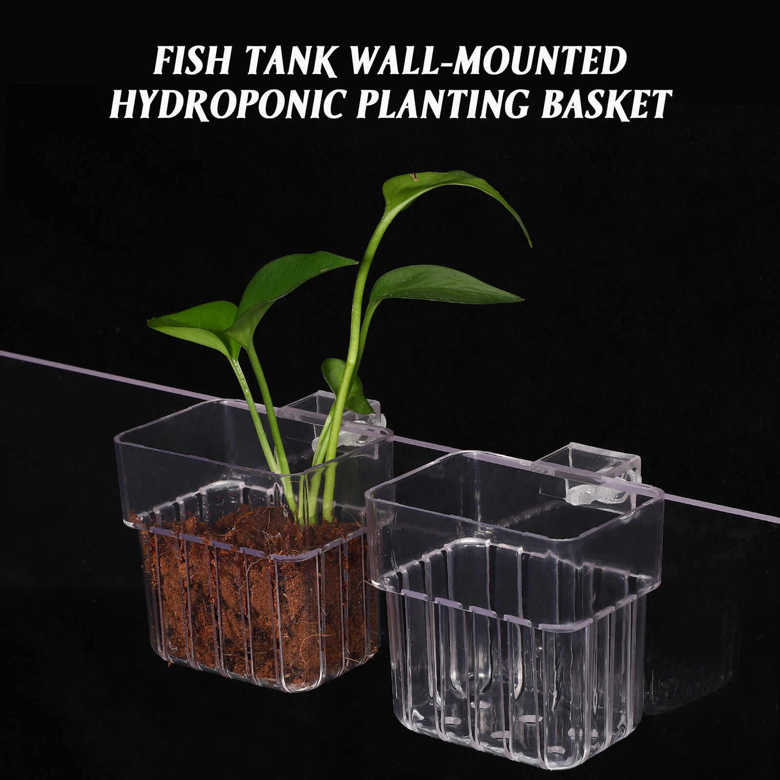 4개입 수족관 식물 홀더 투명 아크릴 어항 식물 컵 걸 - Aquarium Planted Tank Setup 리뷰 및 가격