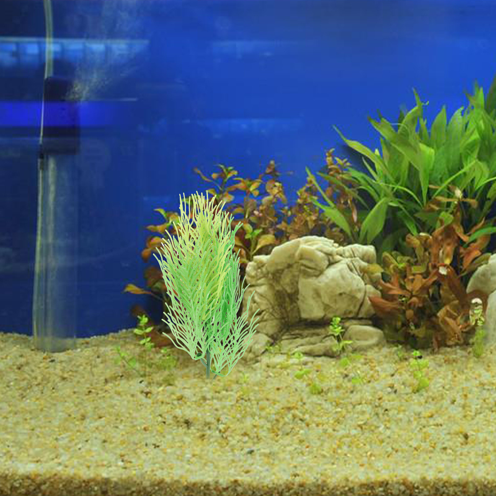 시뮬레이션된 호른워트 수족관 식물 장식품, 가볍고 컴팩 - Aquarium Planted Tank Setup 리뷰 및 가격