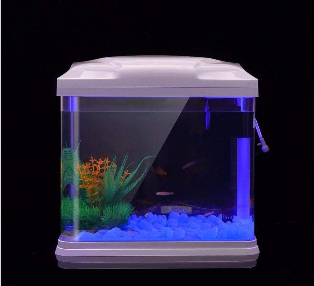 물고기 탱크 바위 정원 물고기 탱크 수족관 식물 냄비  - Planted Aquarium Supplies 리뷰 및 가격