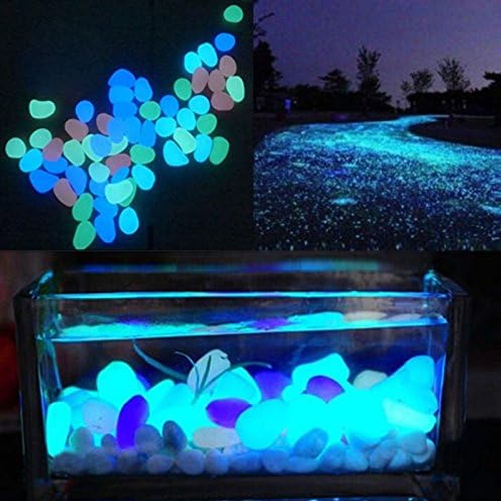 물고기 탱크 바위 정원 물고기 탱크 수족관 식물 냄비  - Planted Aquarium Supplies 리뷰 및 가격