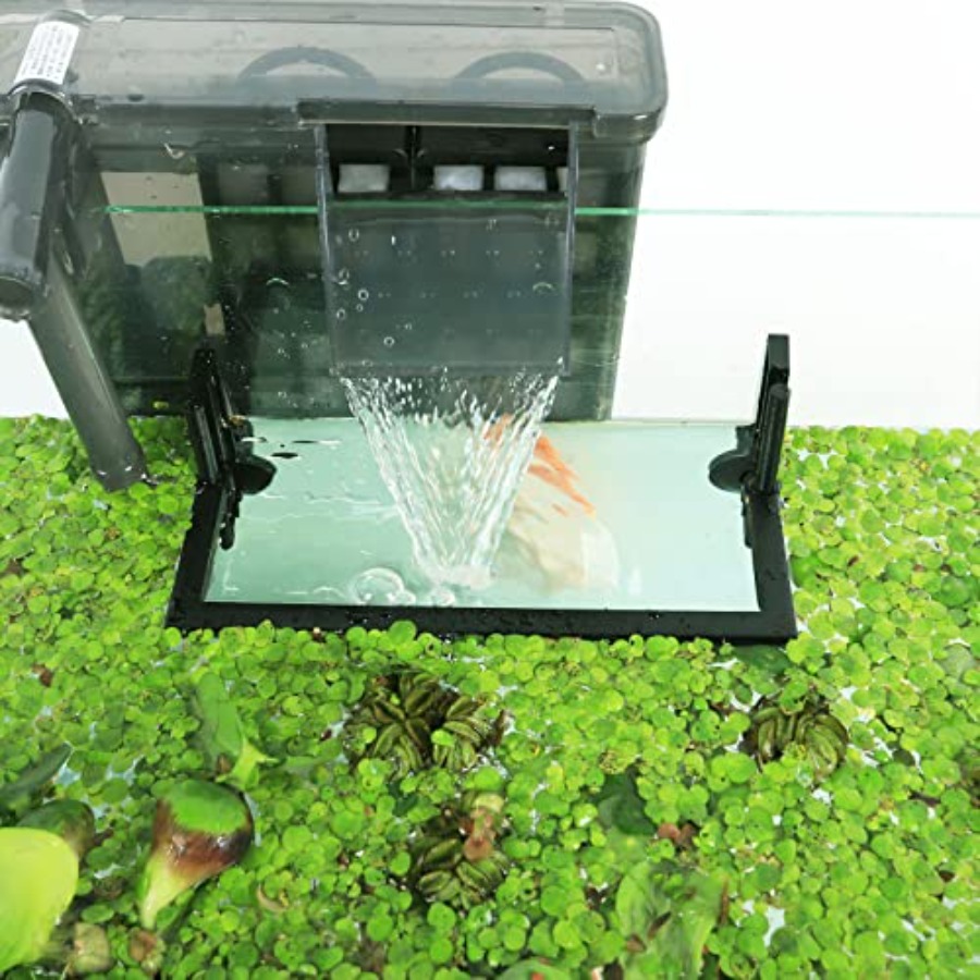 수족관 부유식 식물 격리대, 필터 및 히터에서 부유식  - Planted Aquarium Heater 리뷰 및 가격