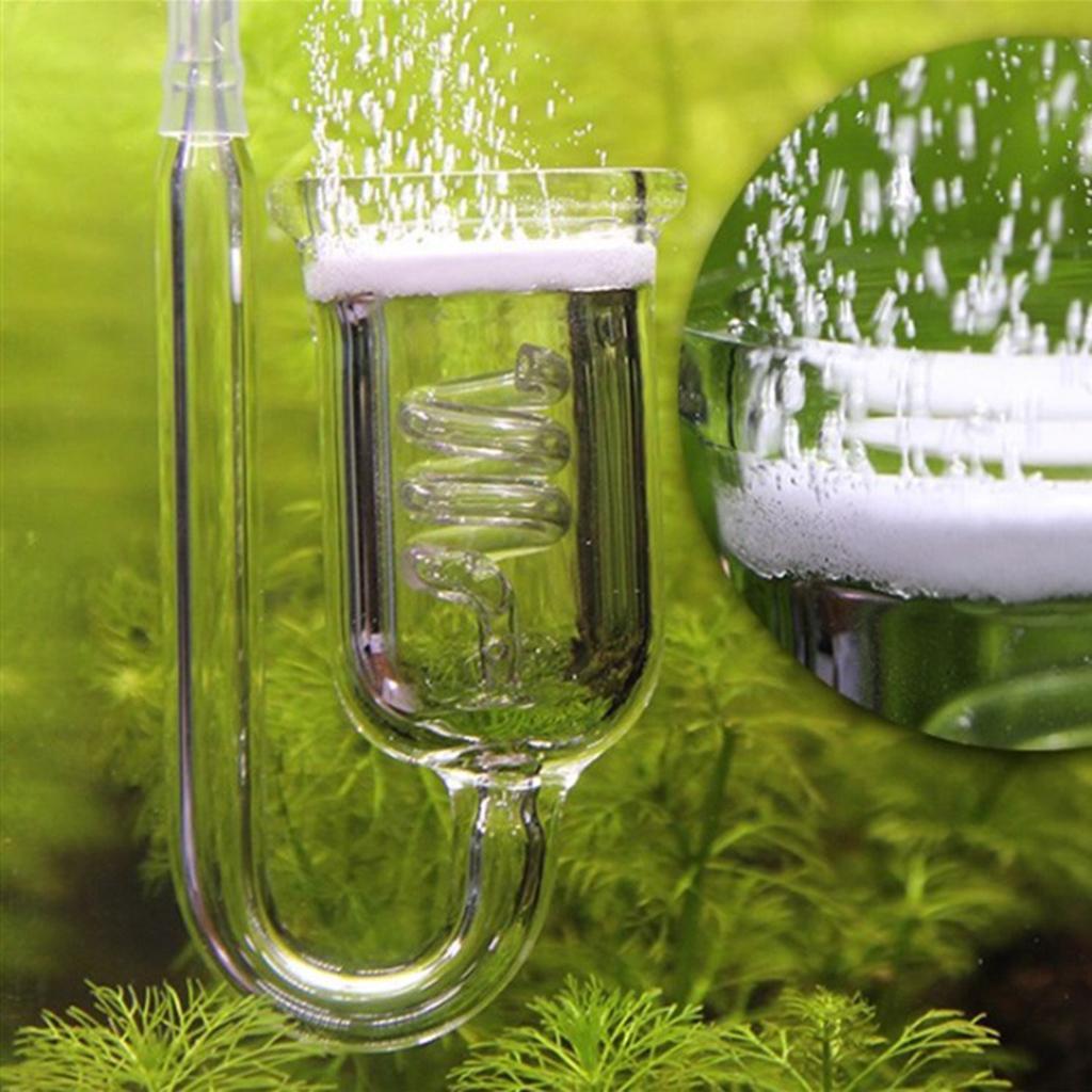 내구성 있는 유리 CO2 디퓨저 수족관 분무기 이산화탄 - Aquarium Planted Tank Setup 리뷰 및 가격