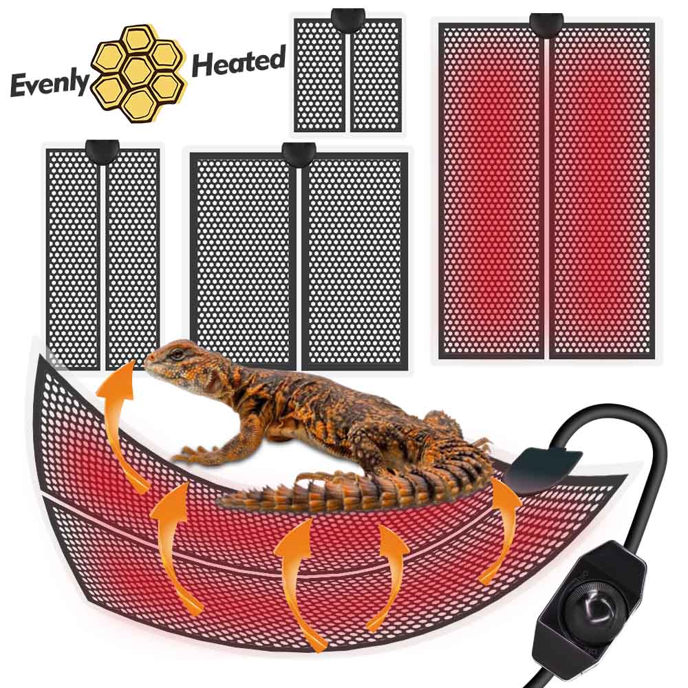파충류 열 매트 식물 난방 패드, 온도 조절, 실내 정 - Planted Aquarium Heater 리뷰 및 가격