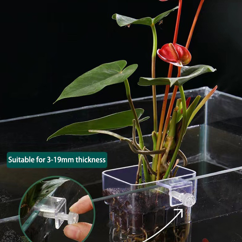 다기능 물고기 수족관 물 잔디 심기 컵, 사육 격리 상 - Aquarium For Planted Tank 리뷰 및 가격