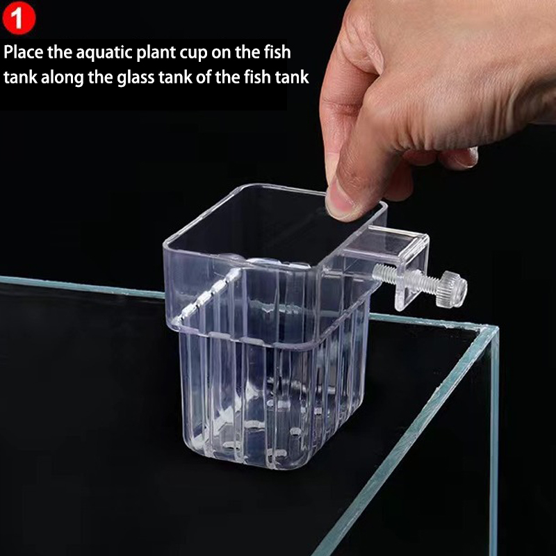 다기능 물고기 수족관 물 잔디 심기 컵, 사육 격리 상 - Aquarium For Planted Tank 리뷰 및 가격