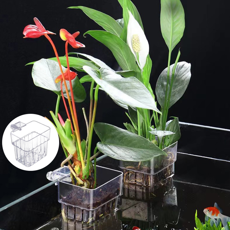 다기능 물고기 수족관 물 잔디 심기 컵, 사육 격리 상 - Aquarium For Planted Tank 리뷰 및 가격