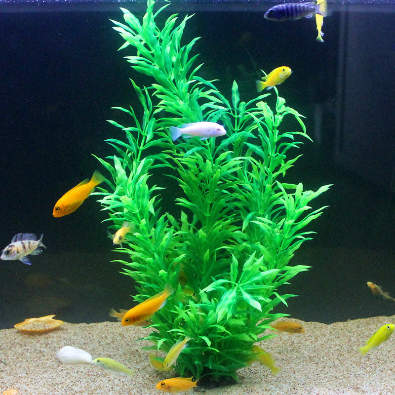 50CM 인조 어항 희귀 식물 수족관 가짜 대나무 잎  - Planted Aquarium Supplies 리뷰 및 가격