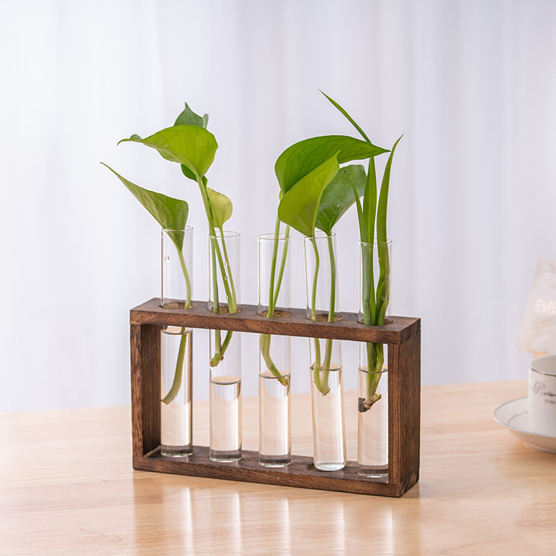 나무 프레임과 수경 식물 컨테이너 투명 유리 테스트 튜 - Tissue Culture Plant 리뷰 및 가격