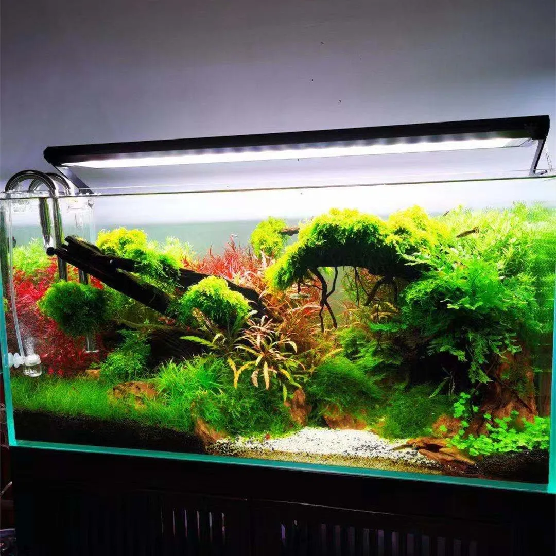 위크 아쿠아 P 시리즈 수족관 풀 스펙트럼 식물 성장등 - Aquarium Plant On Top 리뷰 및 가격