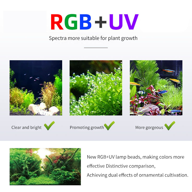 위크 아쿠아 P 시리즈 수족관 풀 스펙트럼 식물 성장등 - Aquarium Plant On Top 리뷰 및 가격