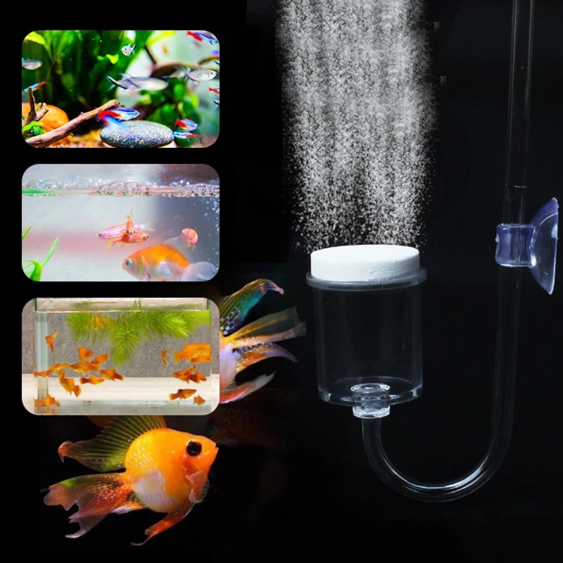 수족관 유리 탱크용 DIY CO2 디퓨저, 버블 반응기 - Planted Aquarium Supplies 리뷰 및 가격