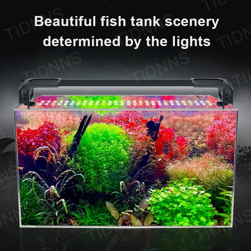 수족관 LED 식물 성장 조명, 확장 가능한 방수 클립 - Aquarium Plant Display 리뷰 및 가격