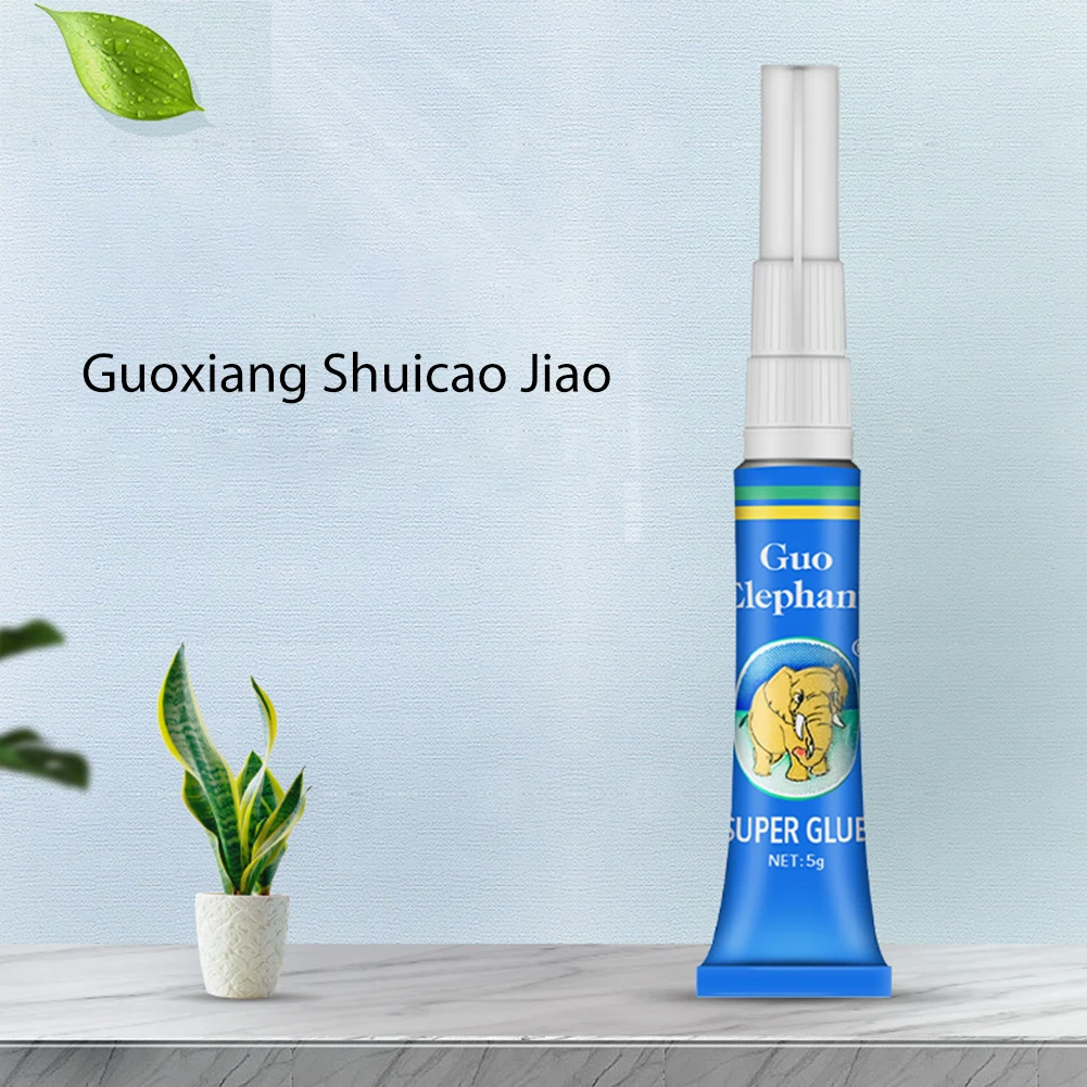 수생 식물 유목 수중 젤 조경 이끼 접착제 수족관 물  - Planted Aquarium Supplies 리뷰 및 가격